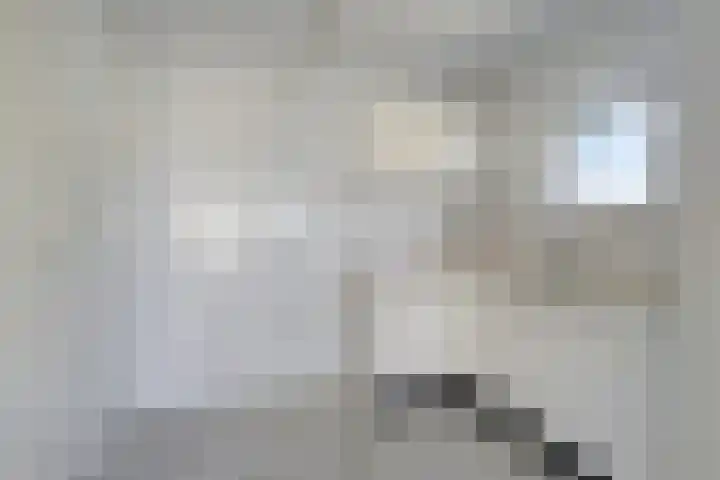Nassaustate 24 Roermond thumbnail 8