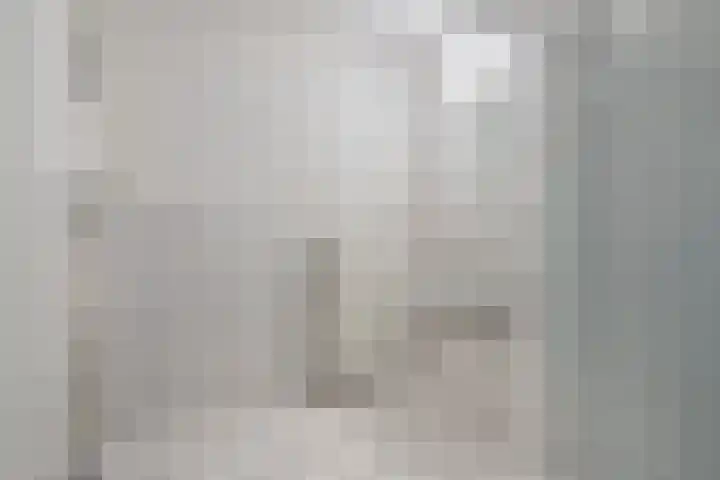 Nassaustate 27 Roermond thumbnail 17
