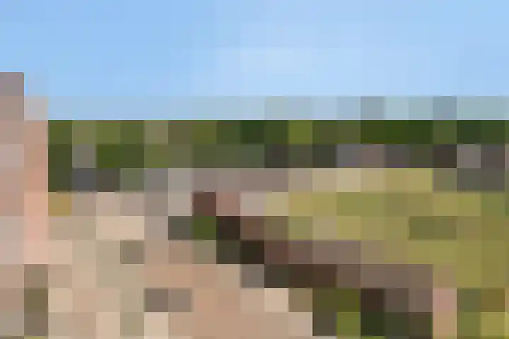 Nassaustate 27 Roermond thumbnail 28