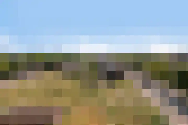 Nassaustate 27 Roermond thumbnail 30