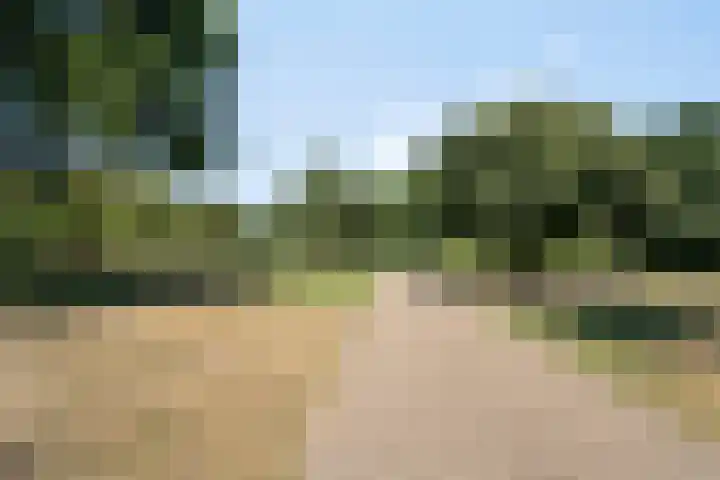 Nassaustate 27 Roermond thumbnail 32