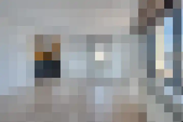 Nassaustate 32 Roermond thumbnail 12