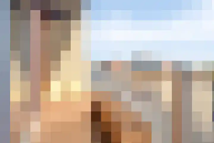 Nassaustate 32 Roermond thumbnail 18