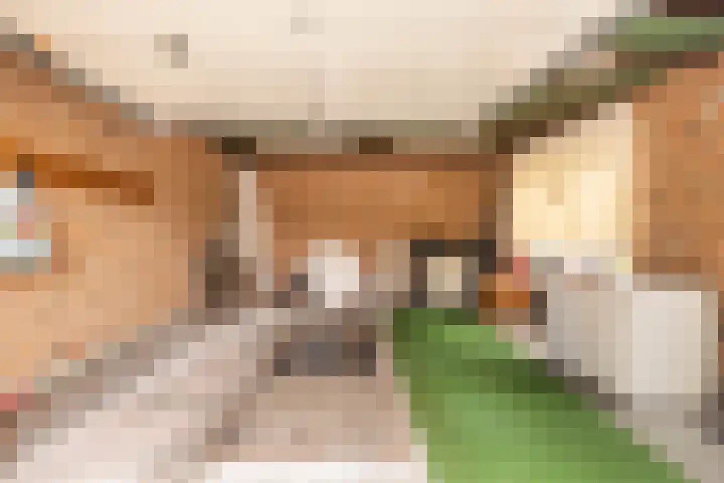 Nassaustraat 1 Geleen thumbnail 38