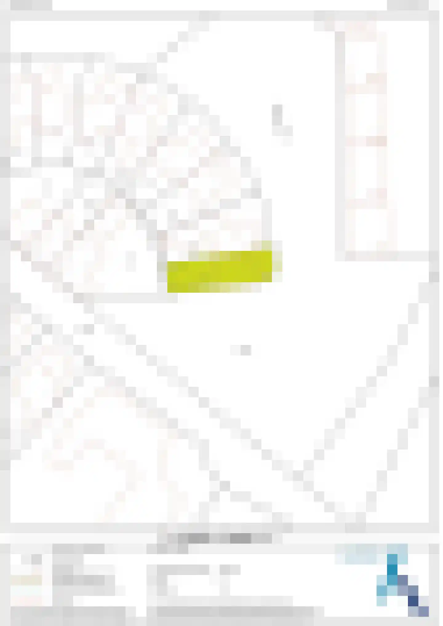 Nassaustraat 1 Geleen thumbnail 58
