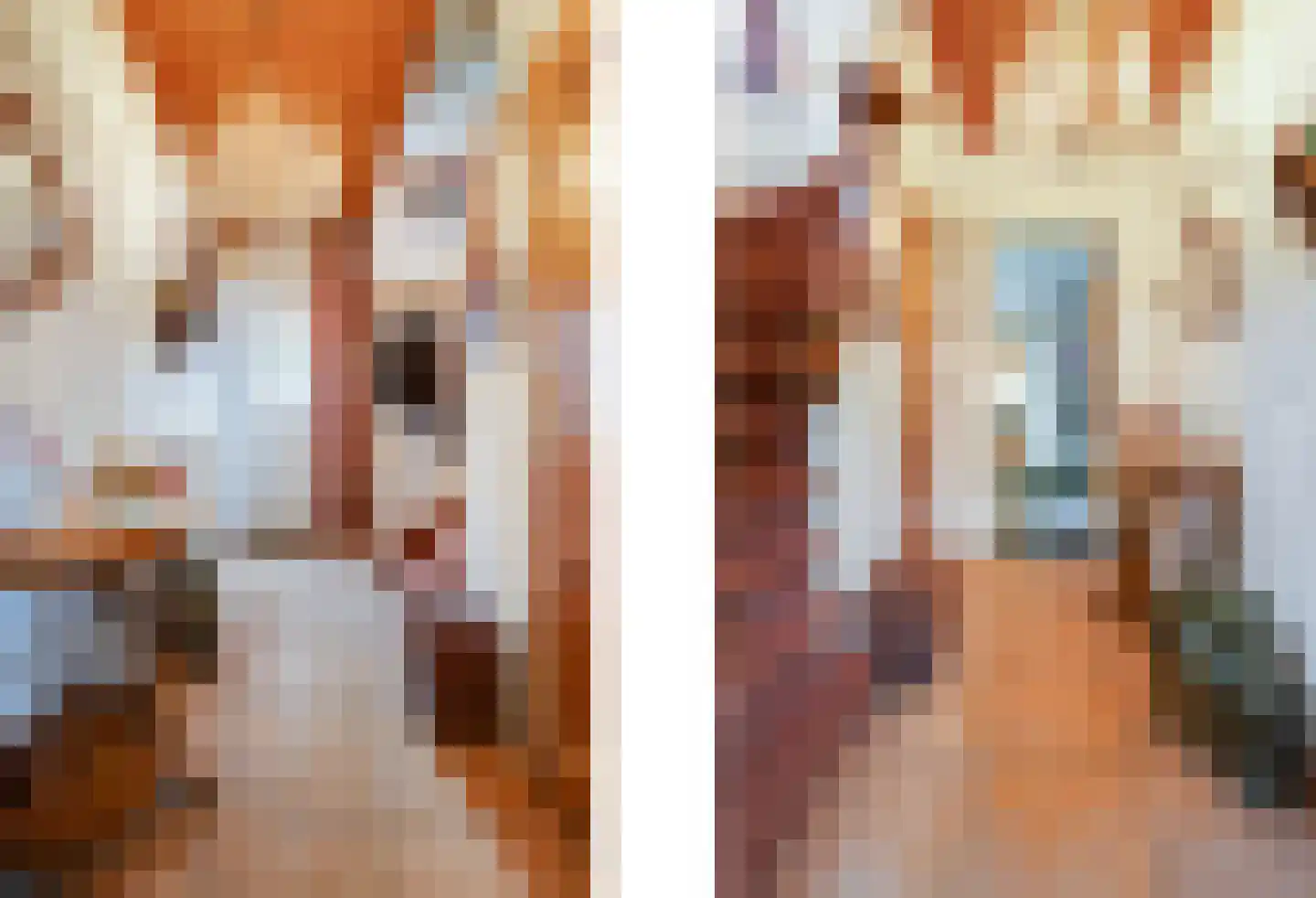 Nassaustraat 1 Geleen thumbnail 9