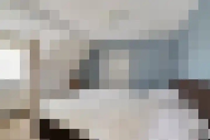 Nassaustraat 10 Boxmeer thumbnail 20