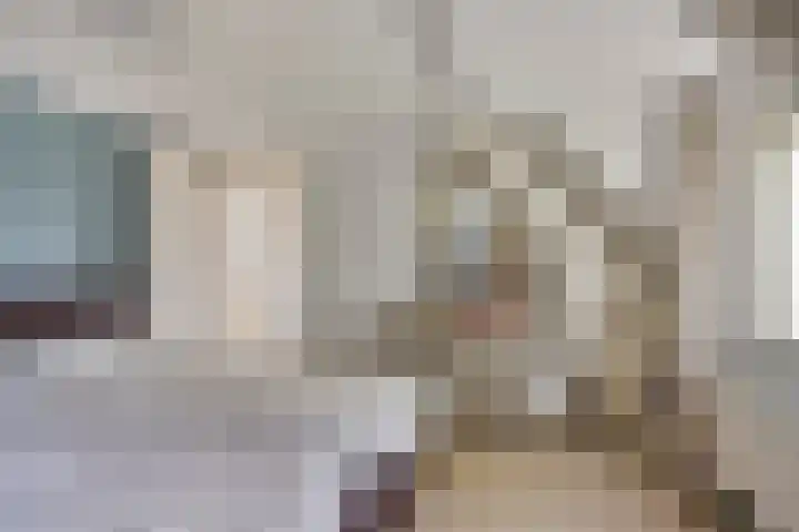 Nassaustraat 10 Boxmeer thumbnail 21