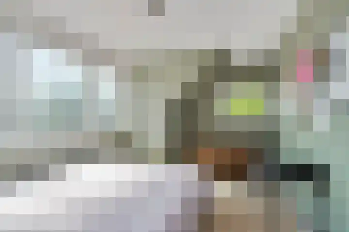 Nassaustraat 10 Boxmeer thumbnail 26