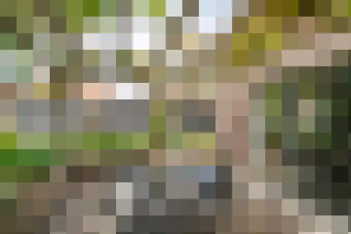 Nassaustraat 10 Boxmeer thumbnail 30