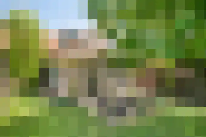 Nassaustraat 10 Boxmeer thumbnail 32