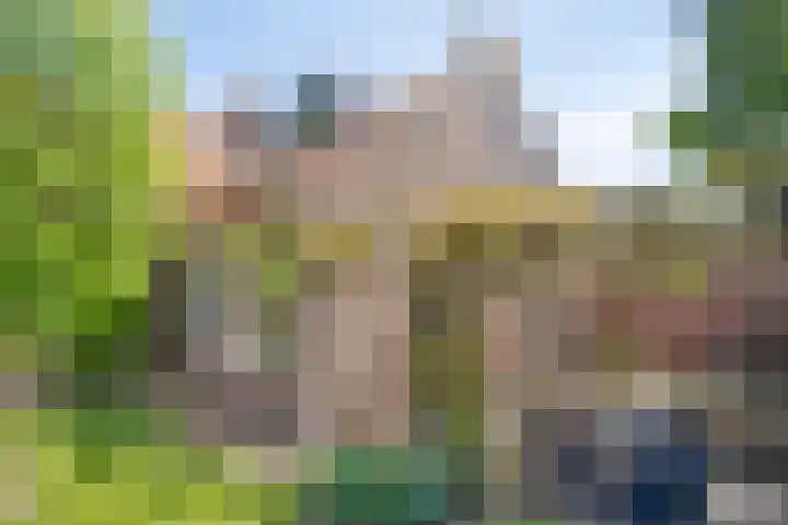 Nassaustraat 10 Boxmeer thumbnail 33