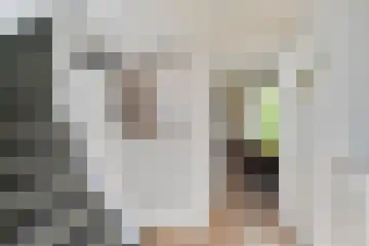 Nassaustraat 10 Boxmeer thumbnail 4