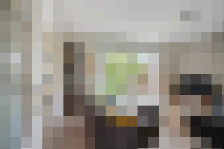 Nassaustraat 10 Boxmeer thumbnail 6