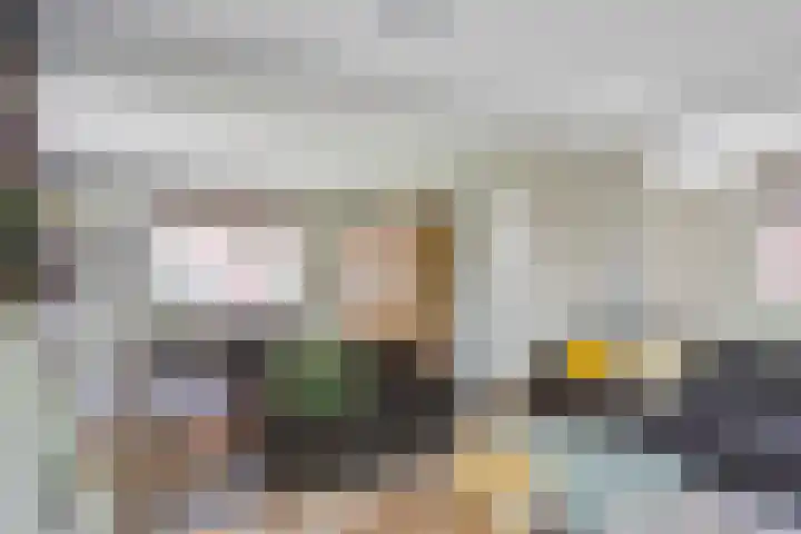 Nassaustraat 10 Boxmeer thumbnail 8