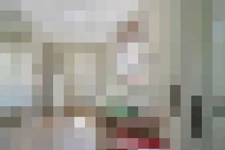 Nassaustraat 10 Boxmeer thumbnail 9