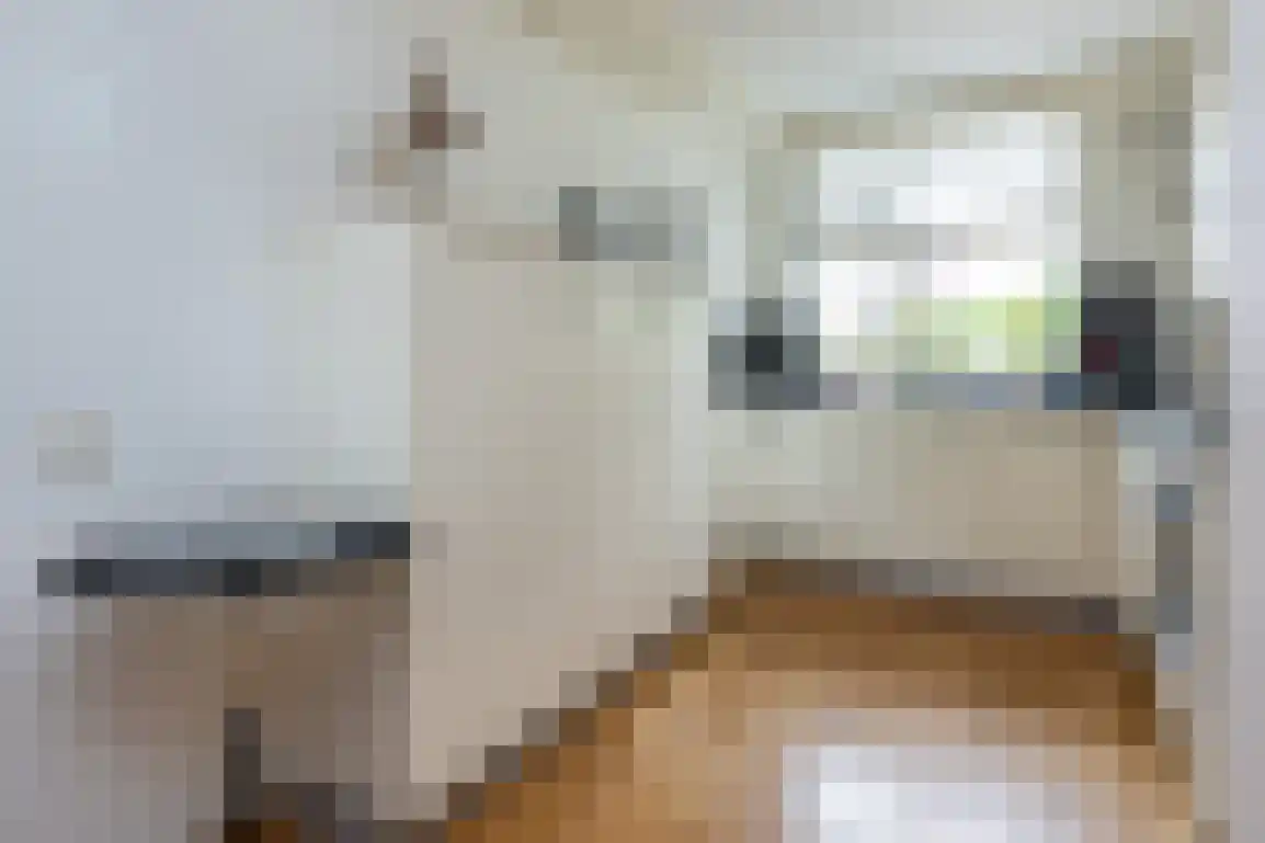 Nassaustraat 10 Den Bommel thumbnail 11