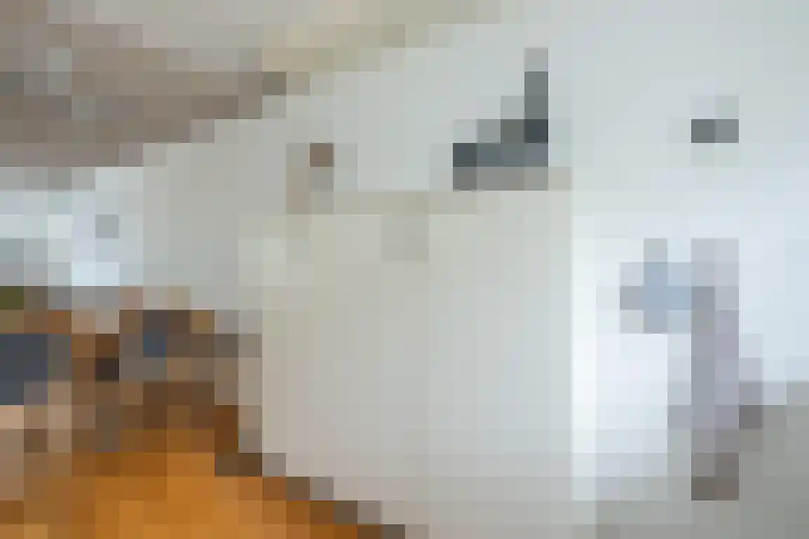 Nassaustraat 10 Den Bommel thumbnail 12