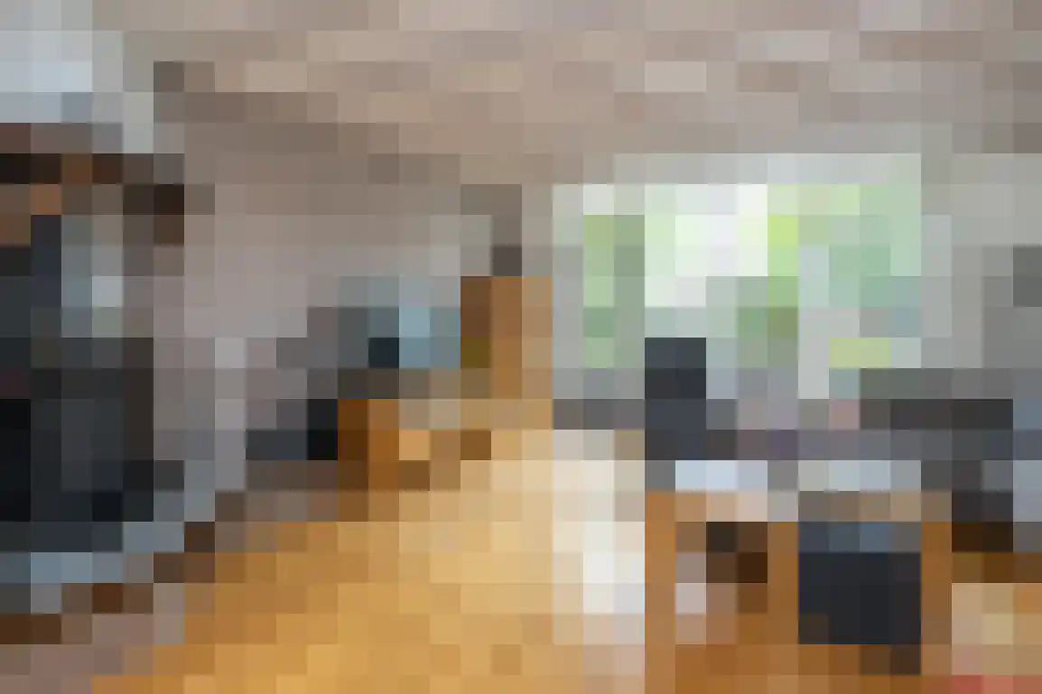 Nassaustraat 10 Den Bommel thumbnail 16