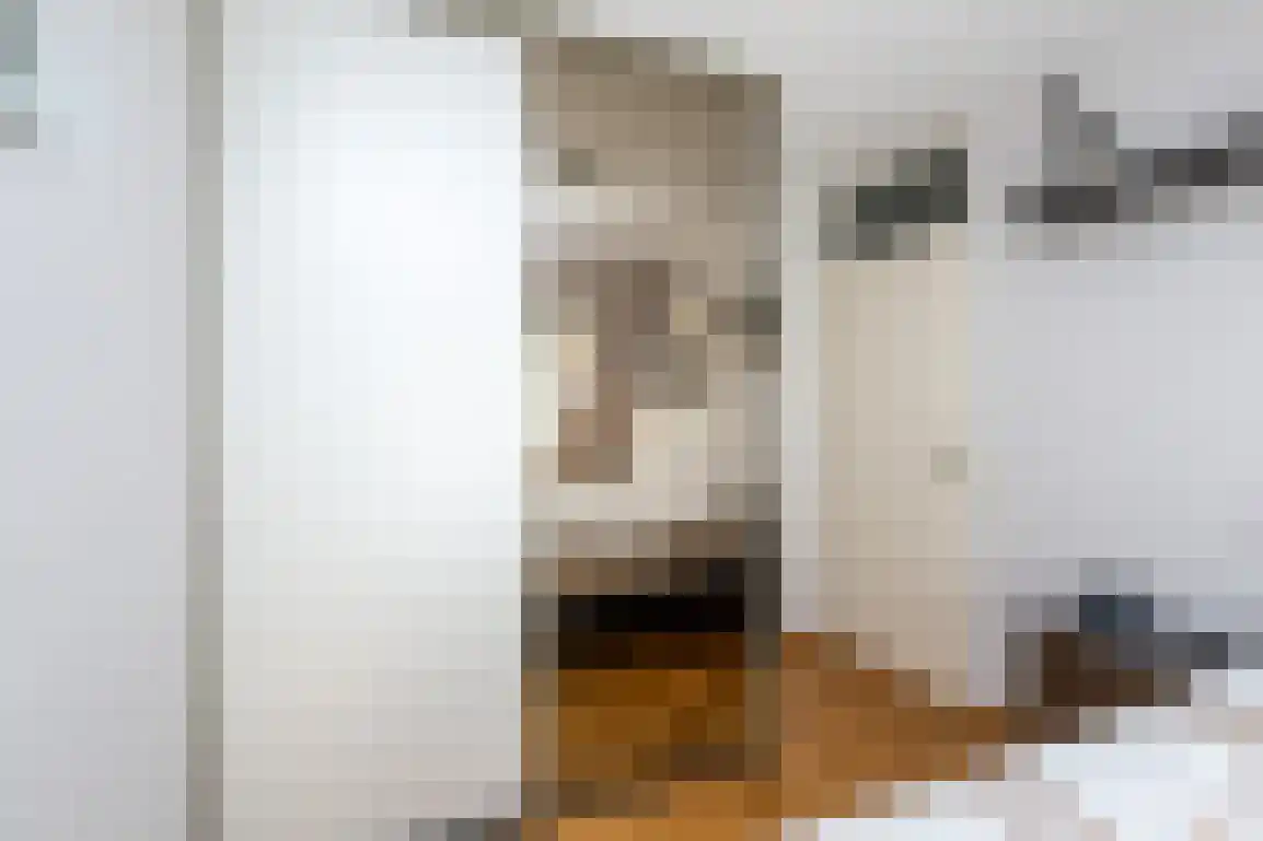 Nassaustraat 10 Den Bommel thumbnail 20