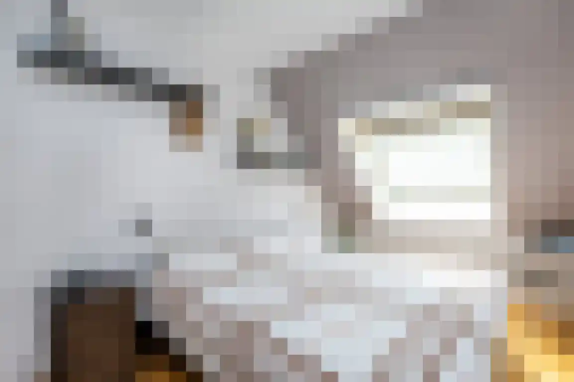 Nassaustraat 10 Den Bommel thumbnail 22
