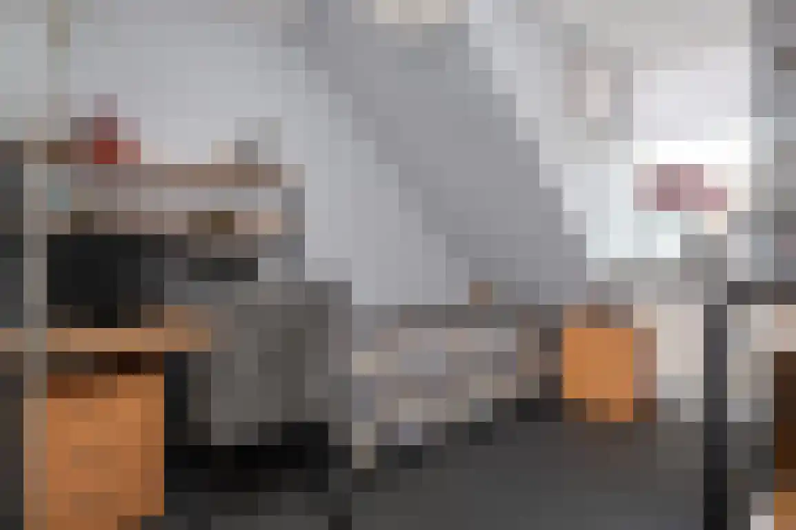 Nassaustraat 10 Den Bommel thumbnail 23