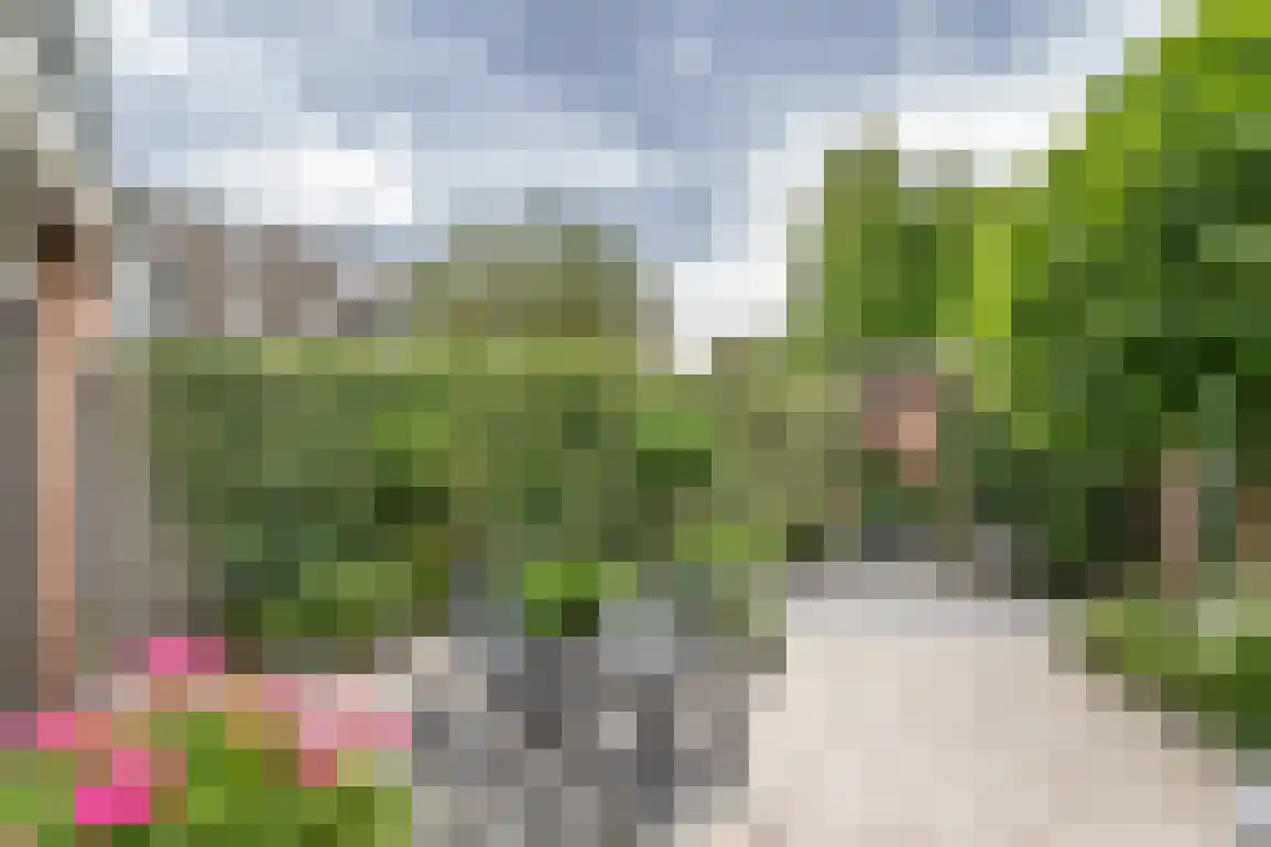 Nassaustraat 10 Den Bommel thumbnail 30