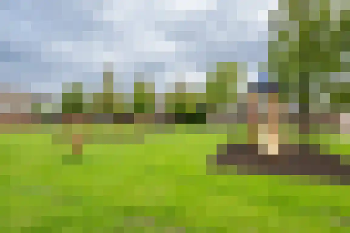 Nassaustraat 10 Den Bommel thumbnail 4