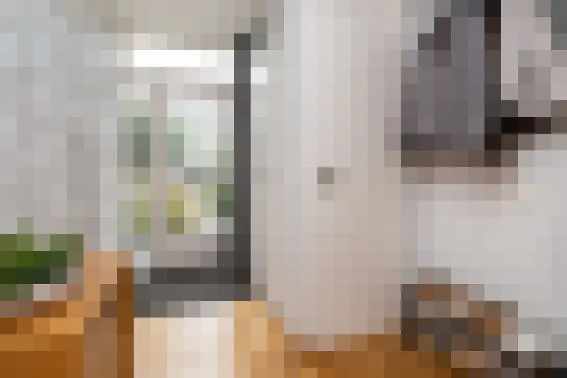 Nassaustraat 10 Den Bommel thumbnail 6