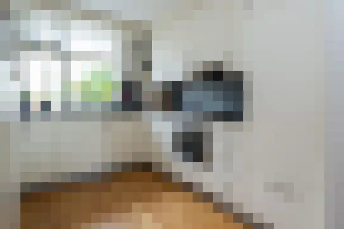 Nassaustraat 10 Den Bommel thumbnail 9