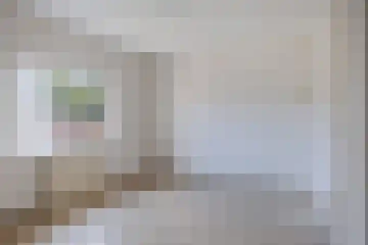 Nassaustraat 10 Son en Breugel thumbnail 10