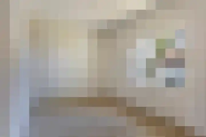 Nassaustraat 10 Son en Breugel thumbnail 12