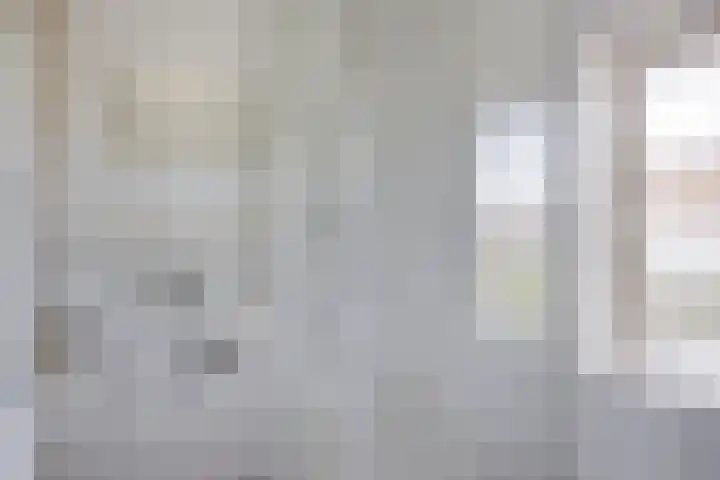 Nassaustraat 10 Son en Breugel thumbnail 15