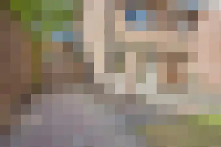 Nassaustraat 10 Son en Breugel thumbnail 18