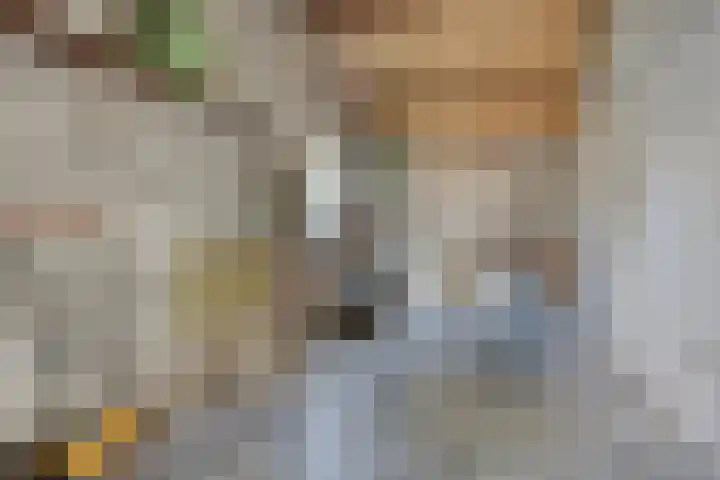 Nassaustraat 10 Son en Breugel thumbnail 20
