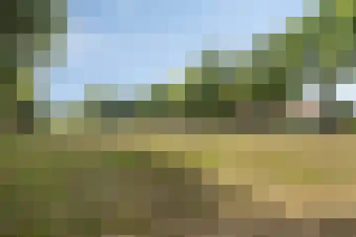 Nassaustraat 10 Son en Breugel thumbnail 22