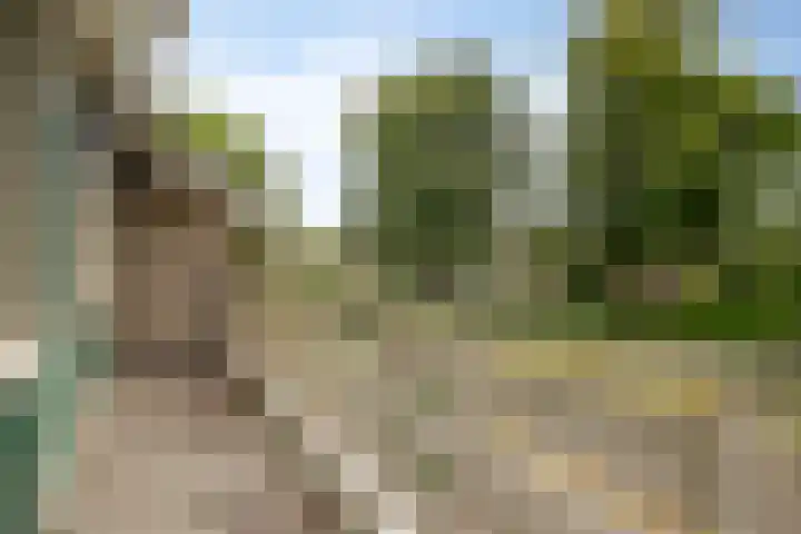 Nassaustraat 10 Terneuzen thumbnail 27