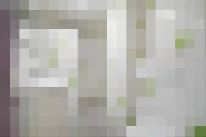 Nassaustraat 10 Terneuzen thumbnail 4
