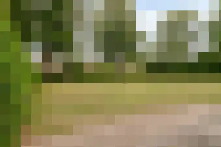 Nassaustraat 10 Terneuzen thumbnail 41