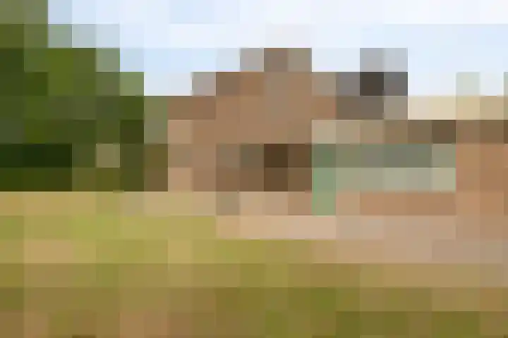 Nassaustraat 10 Terneuzen thumbnail 42