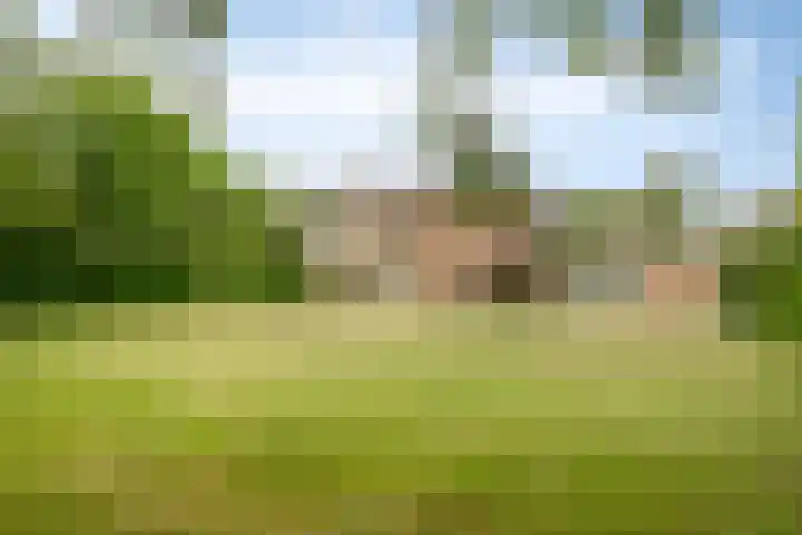 Nassaustraat 10 Terneuzen thumbnail 43