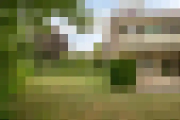 Nassaustraat 10 Terneuzen thumbnail 46