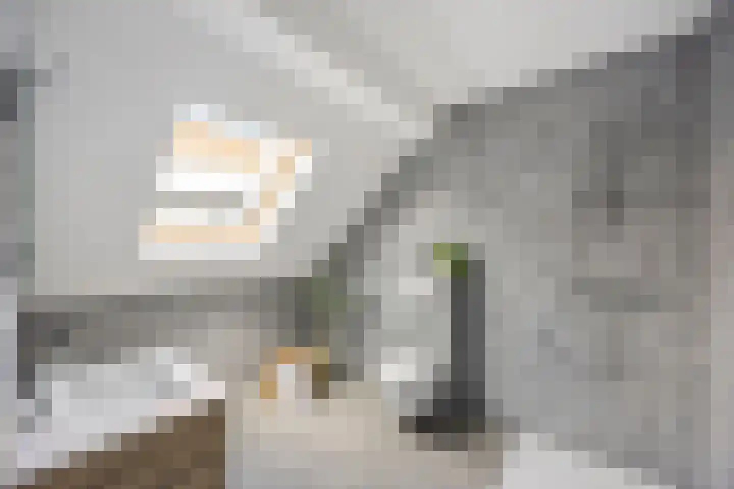 Nassaustraat 102 G Roermond thumbnail 24