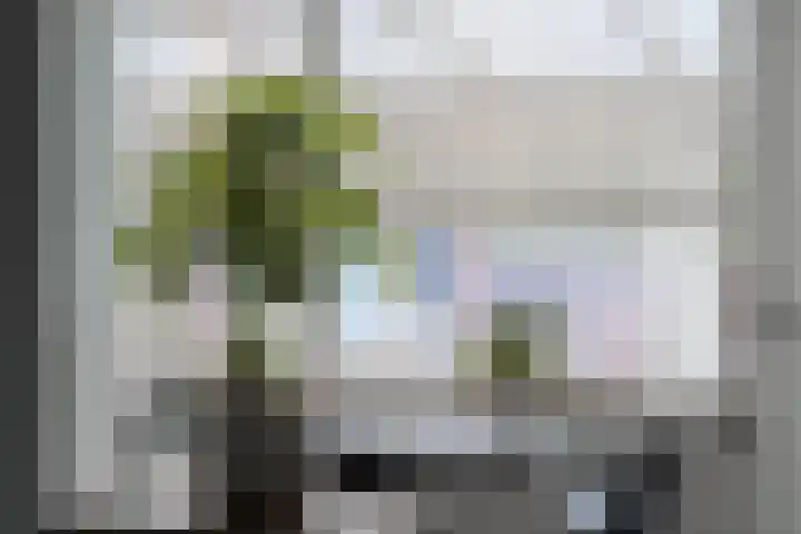 Nassaustraat 103 Kerkrade thumbnail 17