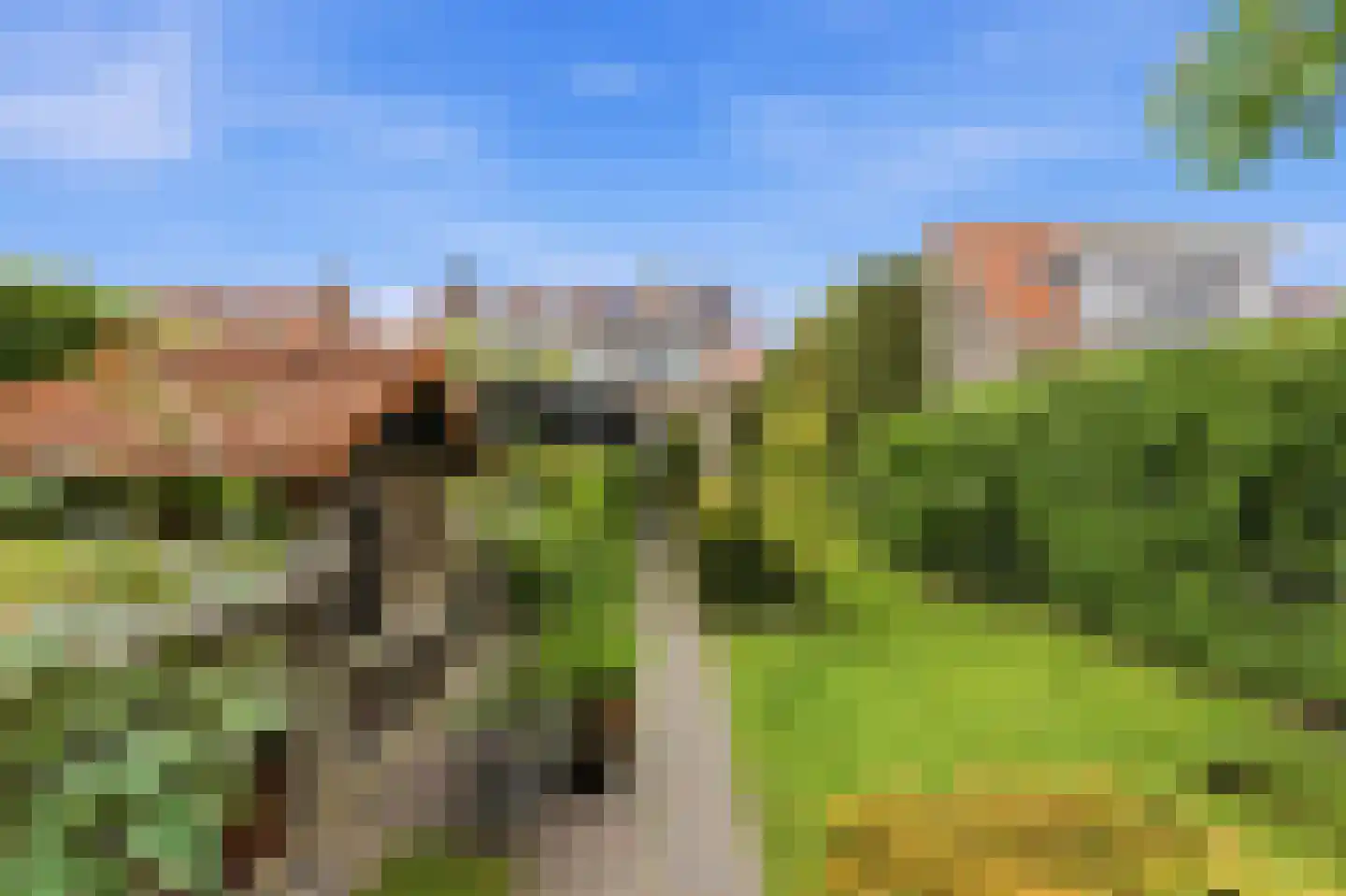 Nassaustraat 107 Ridderkerk thumbnail 60