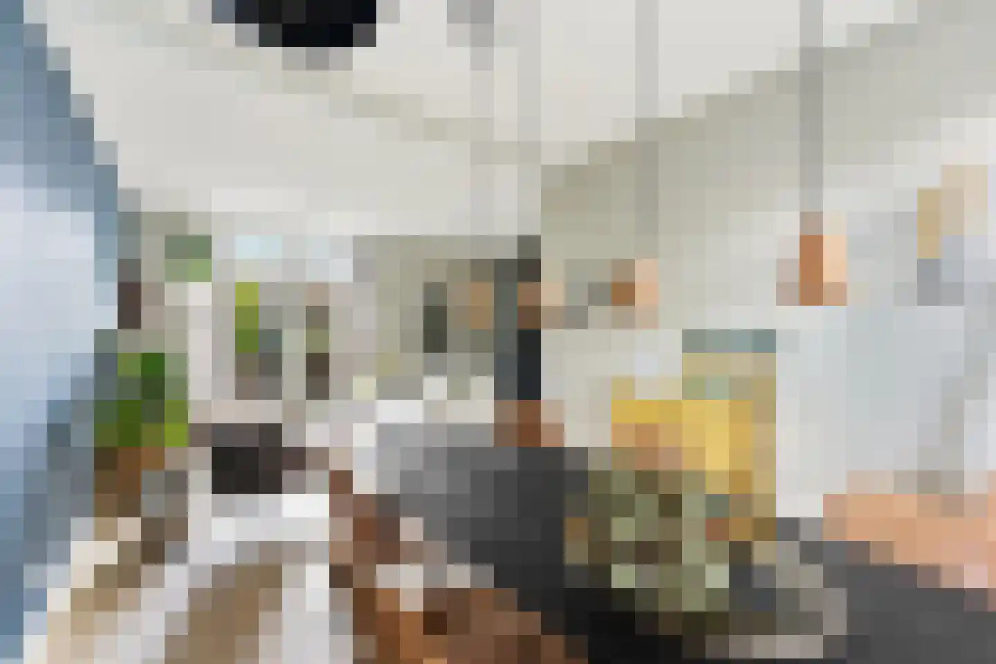 Nassaustraat 107 Ridderkerk thumbnail 8