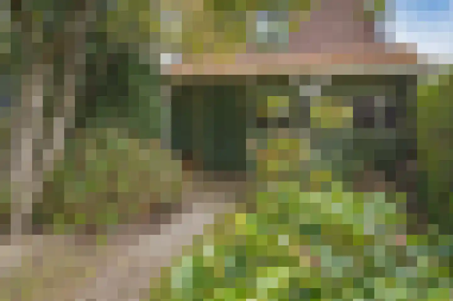 Nassaustraat 113 Ridderkerk thumbnail 33