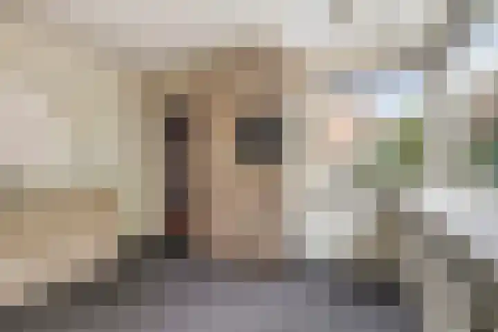Nassaustraat 12 Terneuzen thumbnail 17