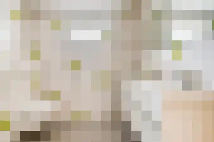 Nassaustraat 12 Terneuzen thumbnail 30
