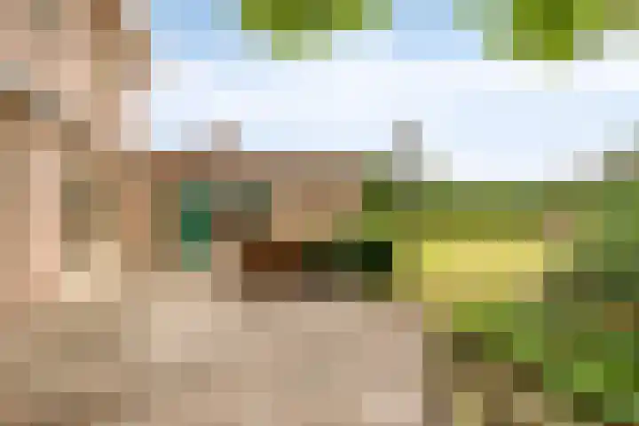 Nassaustraat 12 Terneuzen thumbnail 38